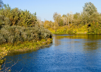 Beautiful autumn landscape. lake and yellow-orange foliage trees. fall season. atmosphere autumnal nature image