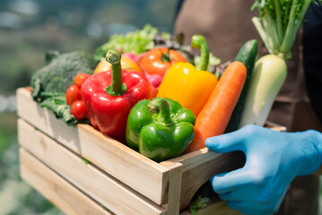 Crate filled with a large selection of healthy fresh organic fruits and vegetables shot on dark wooden table.