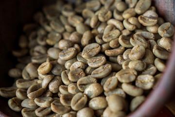 Close up of green coffee beans with selective focus. 