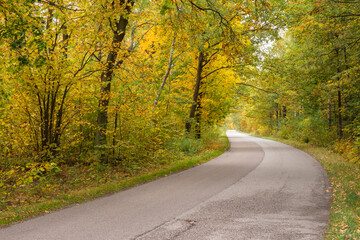 Obraz premium Autumn forest in the rays of the sun and the road in autumn colors. Day.