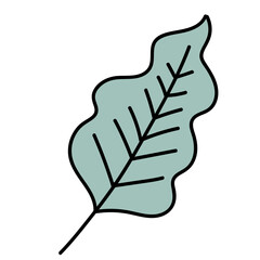 Minimal scandinavian doodle green leaf isolated on transparent background. Nordic doodle in folklore style