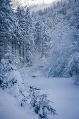 snowy winter landscape crossed by a river
