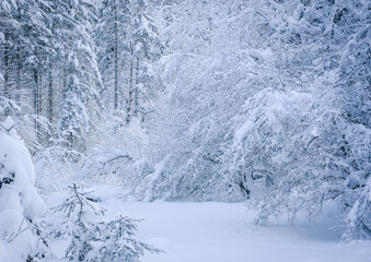 snowy winter landscape crossed by a river
