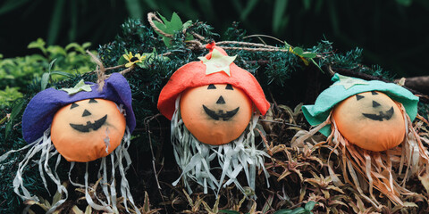 Cute Halloween decorations hanging on a tree in the forest to celebrate Halloween.