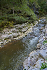 Mountain river on rock bed