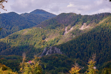Mountain with forests landscape