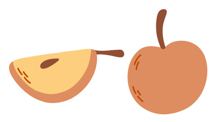 Apples: whole and half. Vector isolated illustratuin. Autumn harvest.