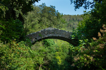 Roman Bridge