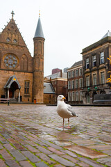 The Hague Parliament or Binnenhof ,  office of the Prime Minister of the Netherlands during winter...