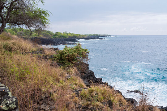 overlooking alahaka bay and rocky coastline off ala kahakai national historic trail in south kona hawaii