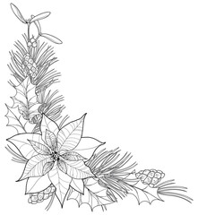 Outline corner bunch with Poinsettia or Christmas Star, pine and cone in black isolated on white. 