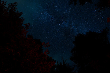 Fototapeta na wymiar Stars in the night sky