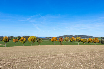 Fototapeta premium Landschaft im Herbst Sauerland