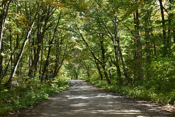 The road to the resort in early autumn, Sainte-Apolline, Québec, Canada