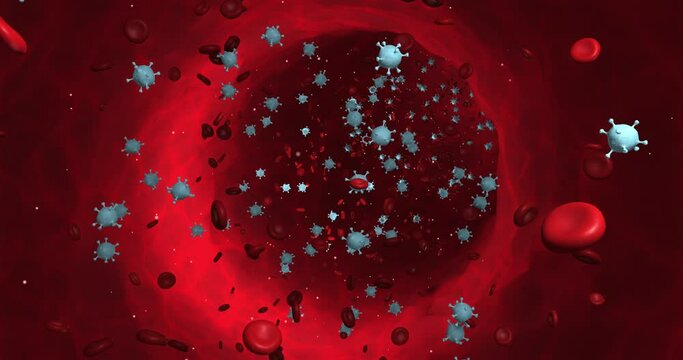 Human Vein Blood Stream. Infected By Viruses. Pandemic Disease. Science And Health Related 3D Animation.