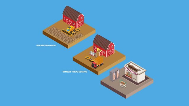 Stages production of breads