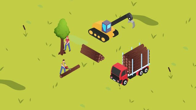Two lumberjacks sawing tree trunk in forest