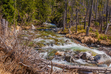 Stream in High Tatras mountains © Rui Vale de Sousa