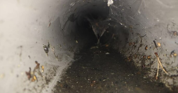 sliding inside dirty plastic pvc rainwater drain pipe