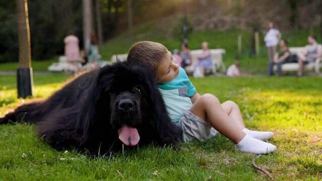 The boy hugs and leans against his dog Newfoundland