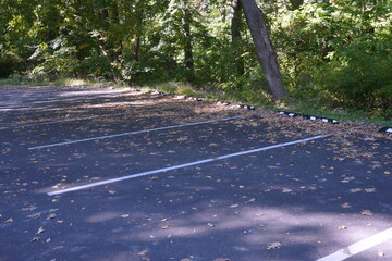 Obraz premium Black Asphalt, White Parking Stripes and Fallen Leave