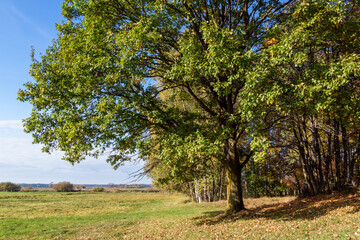 Złota polska jesień na Podlasiu