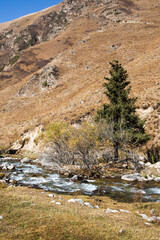 Autumn landscape with a small river 