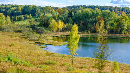Autumn forest lake nature landscape in Estonia on a sunny day.