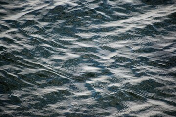 穏やかな琵琶湖の水面