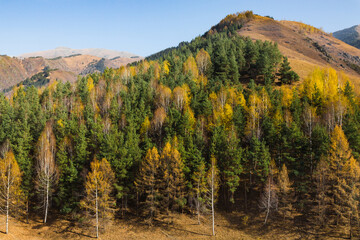Picturesque view of mountain slope covered with colorful trees