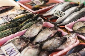 Various fresh fish are available for sale at a high price in the wet market.