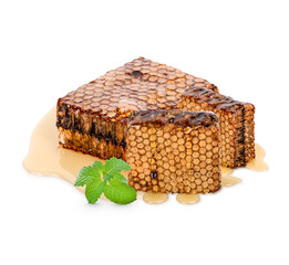 Honeycomb with mint leaves isolated on transparent background. (.PNG)