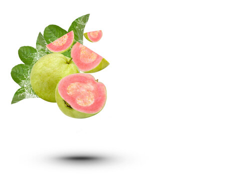 Water splash on fresh Guava fruit with leaves isolated on transparent background. (.PNG)