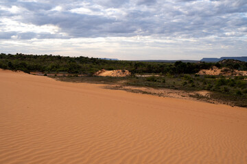 Fototapeta na wymiar beautiful sunlit sand dunes in jalapão national park