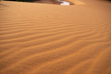 sand dunes in the desert