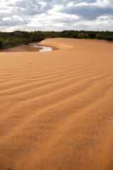 sand dunes in the desert