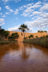 ralo river near sand dunes in jalapão national park in brazil