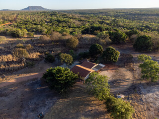 amazing panoramic view of brazilian forest savanna with undergrowth