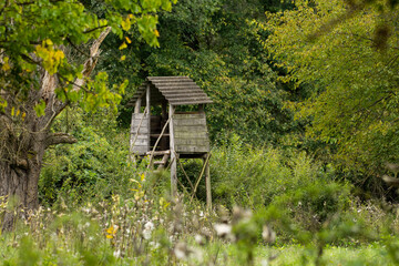 Hunting tower in the forest