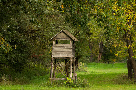 Hunting tower in the forest