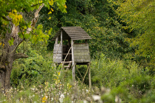 Hunting tower in the forest