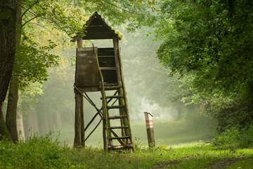 Hunting tower in the forest