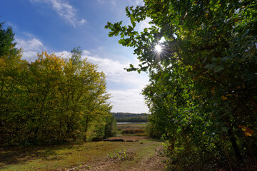 Grand-Voyeux Regional Nature Reserve in ÎLe-de-France region