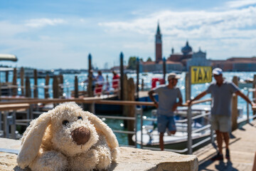 A toy dog on a pier for gondola and water taxis off the coast on the street of Venice against a blurred background of figures of taxi drivers, a large canal and a cloudy sky in the morning