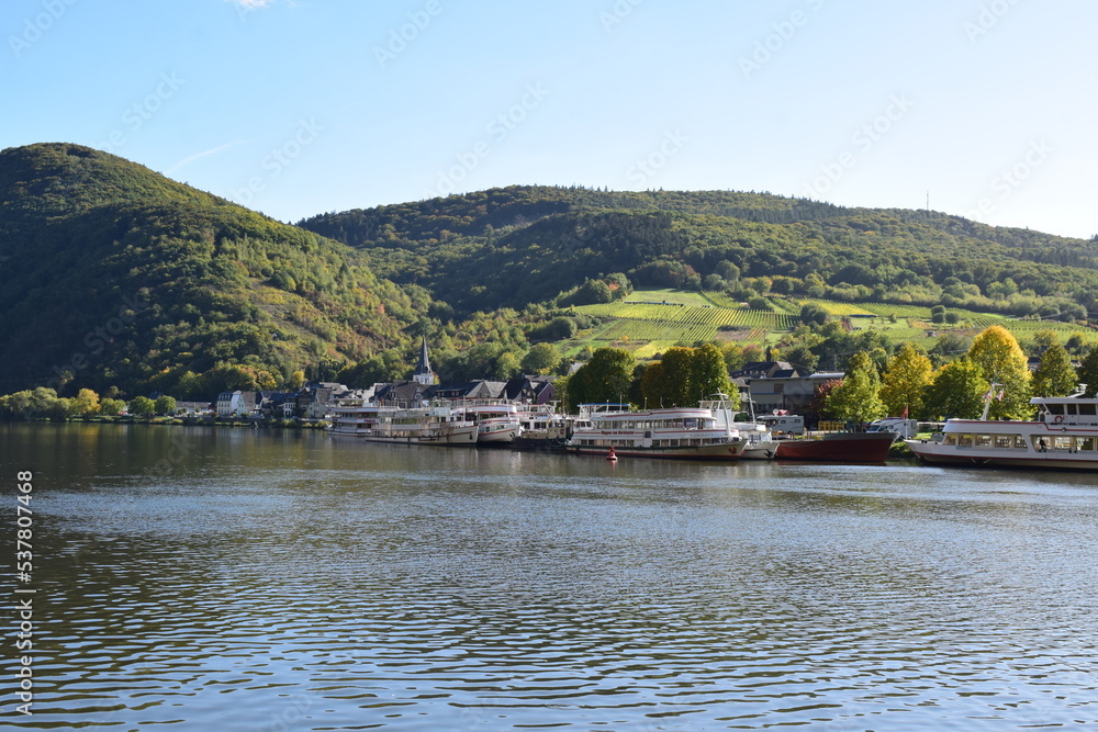 Sticker briedern an der mosel im herbst