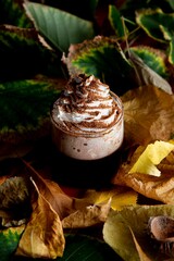 Coffee with whipped cream and cocoa in an autumn atmosphere