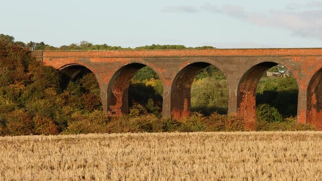 Red brick viaduct amongst the trees and a field of wheat