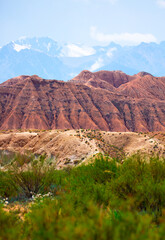 Natural unusual landscape of red rocks against the backdrop of blue mountains. The extraordinary beauty of nature is similar to the Martian landscape. Amazingly beautiful landscape.