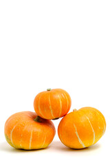 Three pumpkins white background, isolate.