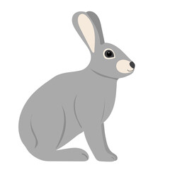 rabbit, gray hare on white background, isolated vector